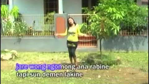 DEMEN BAPANE - Sri Avista -