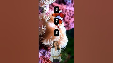 "Do You Have What It Takes To Solve This Riddle? 💡" #riddle #puzzles #brainworkout