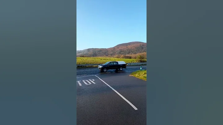 It's like Summer in Sligo  Misty November 2022