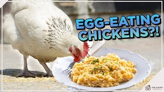 Can Chickens Eat Eggs? The Surprising Truth!