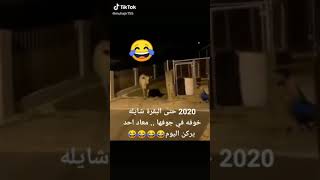 *(فيديو بدون عنوان)*