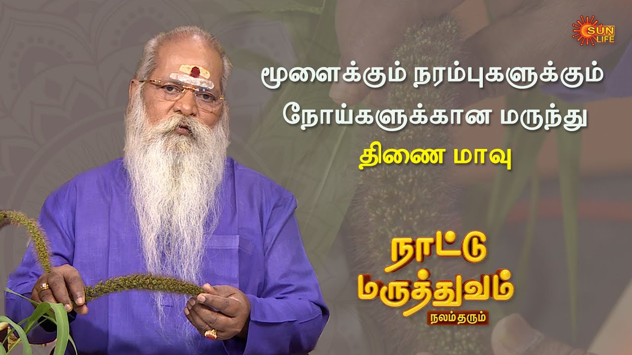 மூளைக்கும், நரம்புகளுக்கும், மற்றும் பல்வேறு நோய்களுக்கான மருந்து - திணை மாவு | Naattu Maruthuvam