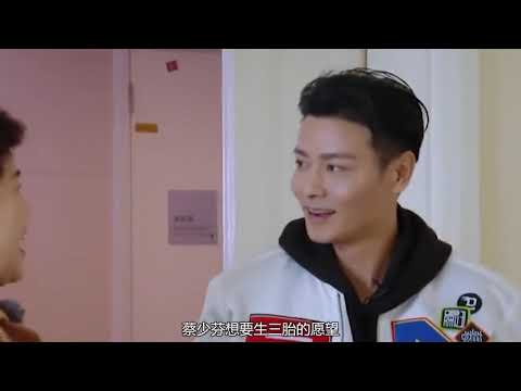 蔡少芬想生儿子