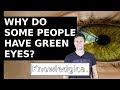 Why Do Some People Have Green Eyes?