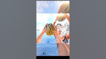 Can you win a rock fight. I can