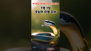 7월1일 오늘의 띠별 운세_뱀띠 #shorts
