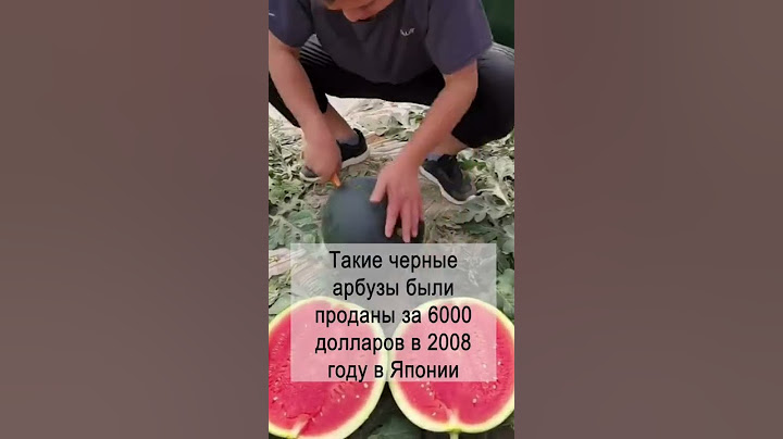 Самый дорогой арбуз. В 2020 году подобный арбуз был продан на за 2000$.