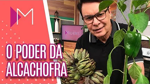 Quantas vezes por dia tomar chá de alcachofra?