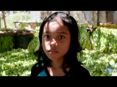 Video Hazardous Child Labor on Indonesian Tobacco Farms