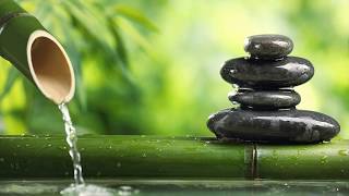 Fall Asleep Fast and Easy | Sleep Music 528Hz Miracle Tone | Tranquil Sleep | Healing Cleanse #3