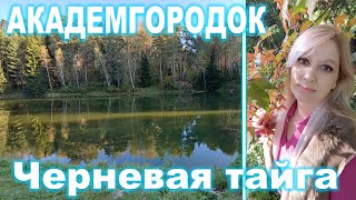 Академгородок ► Черневая тайга