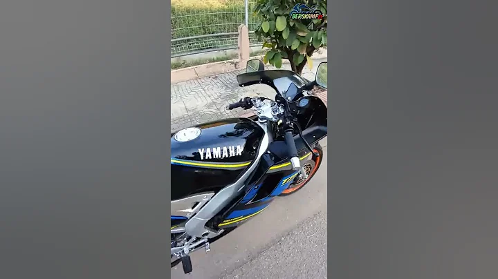 Yamaha​ Tzm​ 150 #3 ​/ Bergkamp​ 2T
