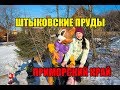 ПРИМОРСКИЙ КРАЙ БАЗА ОТДЫХА АРТ-ПАРК ШТЫКОВСКИЕ ПРУДЫ Лучший отдых с детьми.