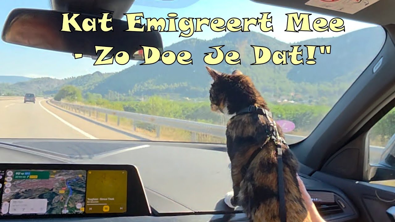 Snoes de Poes Gaat Emigreren! 🐱🚗 Van Rotterdam naar Spanje 🇪🇸