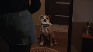 Lucy Gets a Birthday Card From Kojo - The Rookie by ABC 59,194 views 3 days ago 1 minute, 58 seconds