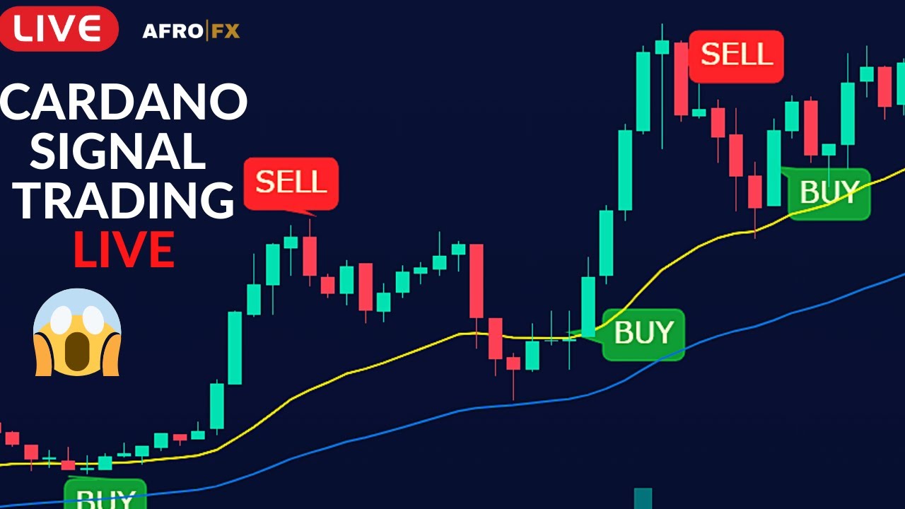 Investasi - Broker Forex Terbaik invest forex ada jaminan