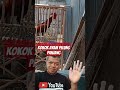 KOKOK AYAM PELUNG MERDU DAN PANJANG| The rooster crows long🥰#video #viral #shortvideo #shorts