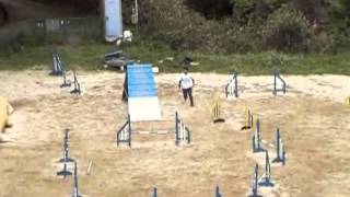 20120504-2.wmv