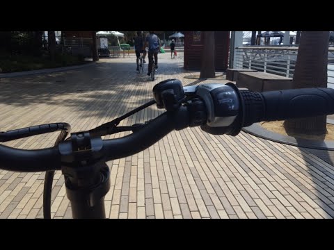 sartori electric bike motor