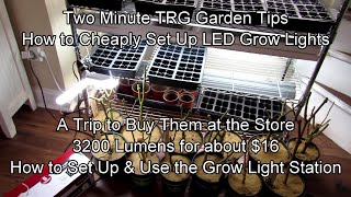 How to Buy LED Grow Lights for $20, Set Up a Grow Light Station \& Use Them: Two Minute TRG Tips