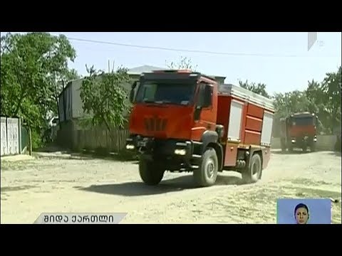 ხანძარი ცედანის ტყეში