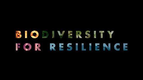 Biodiversity for Resilience: the Genebank, Ensuring Resilience