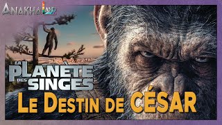 LA PLANÈTE DES SINGES: l’Histoire de CÉSAR - Récap de la Trilogie avant LE NOUVEAU ROYAUME