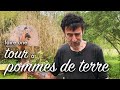 Faire une tour  pommes de terre