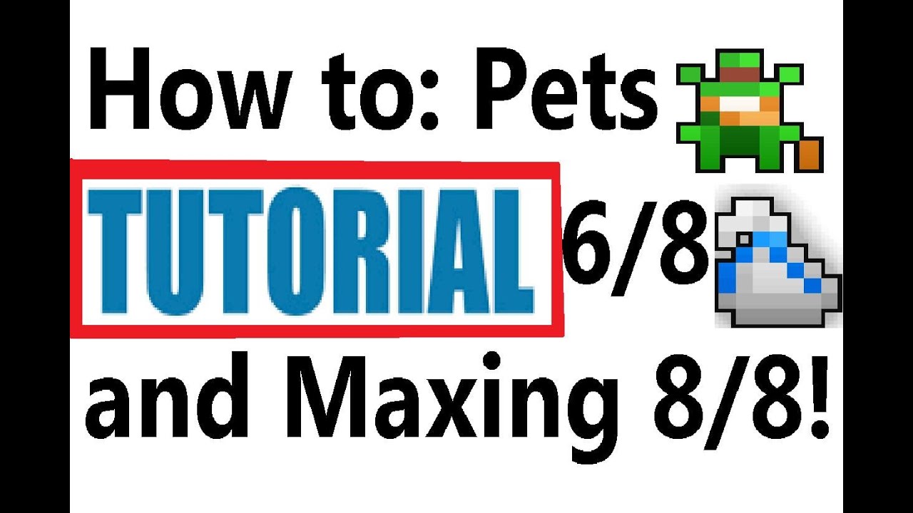 RotMG How to Pets, 6/8 and Maxing 8/8!! TUTORIAL YouTube