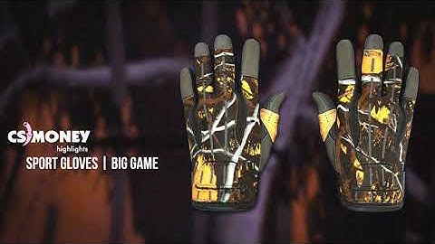 CS:GO | Sport Gloves - Big Game