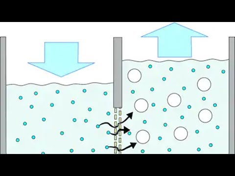 Video: Cuál es el Significado de Semipermeabilidad