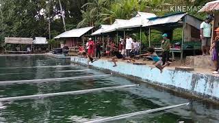 Renang Anak Siswa Sd Negeri Dullahngadi Kota Tual