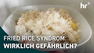 Gefahr Durch Essensreste Die Ratgeber