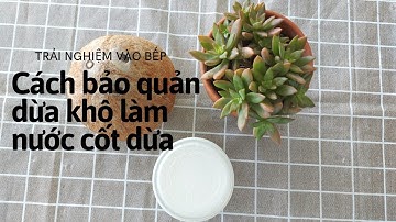 Cách BẢO QUẢN DỪA KHÔ ĐỂ LÀM NƯỚC CỐT DỪA - Trải nghiệm vào bếp