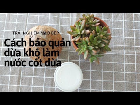 Video Cách BẢO QUẢN DỪA KHÔ ĐỂ LÀM NƯỚC CỐT DỪA - Trải... - youtube