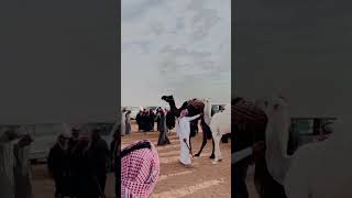 لعب غامد الهيلا في المزاين 👏🏻👏🏻.