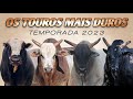 OS TOUROS MAIS DUROS DE 2023