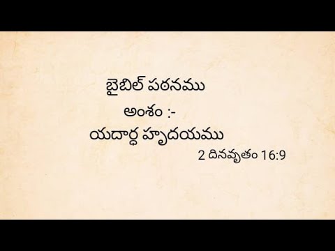 BIBLE STUDY |
