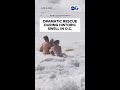 Dramatic rescue during historic swell in OC
