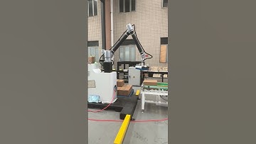 Automatic robot Stacking Machine Carton Cobot Palletizer Collaborative Robot Palletizing System Line