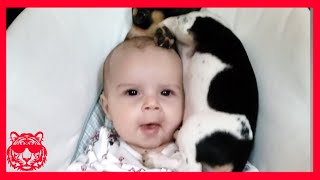 😊  Cute Moments (45)  أطفال مضحكون ★ فيديو أطرف أطفال الهند | لحظات ظريفة by India's Funniest Videos 2,055 views 2 years ago 9 minutes, 27 seconds