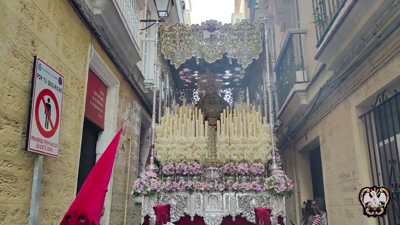 Amparo (Borriquita) en c/ Santiago y Candelaria, Domingo de Ramos Cádiz 2025