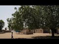 Senegal : the “Great Green Wall” project likely to miss it