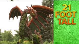 Atlanta Botanical Garden's Imaginary Worlds returns