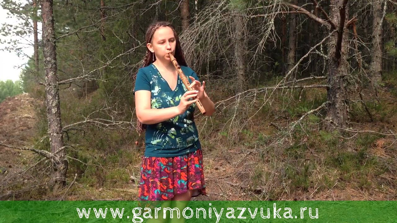 Индейская Флейта И Звуки Леса