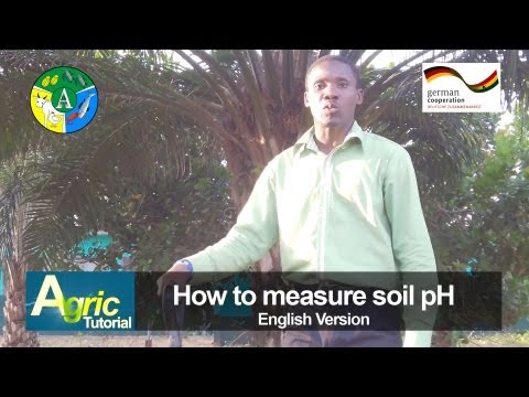 How to measure soil pH