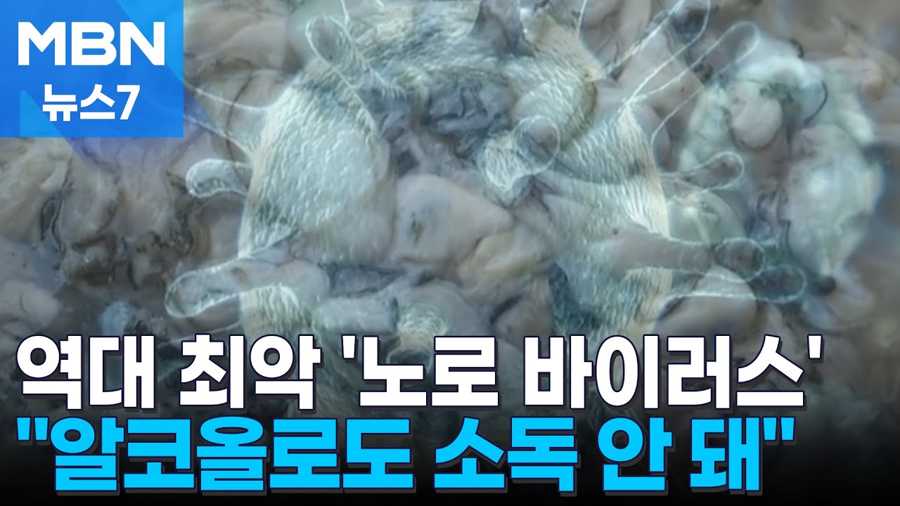 노로 바이러스 환자 5년 새 '최다'…알코올로도 안 씻겨 