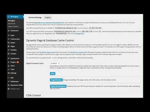 What the WP Engine Cache is and How to Empty it Out