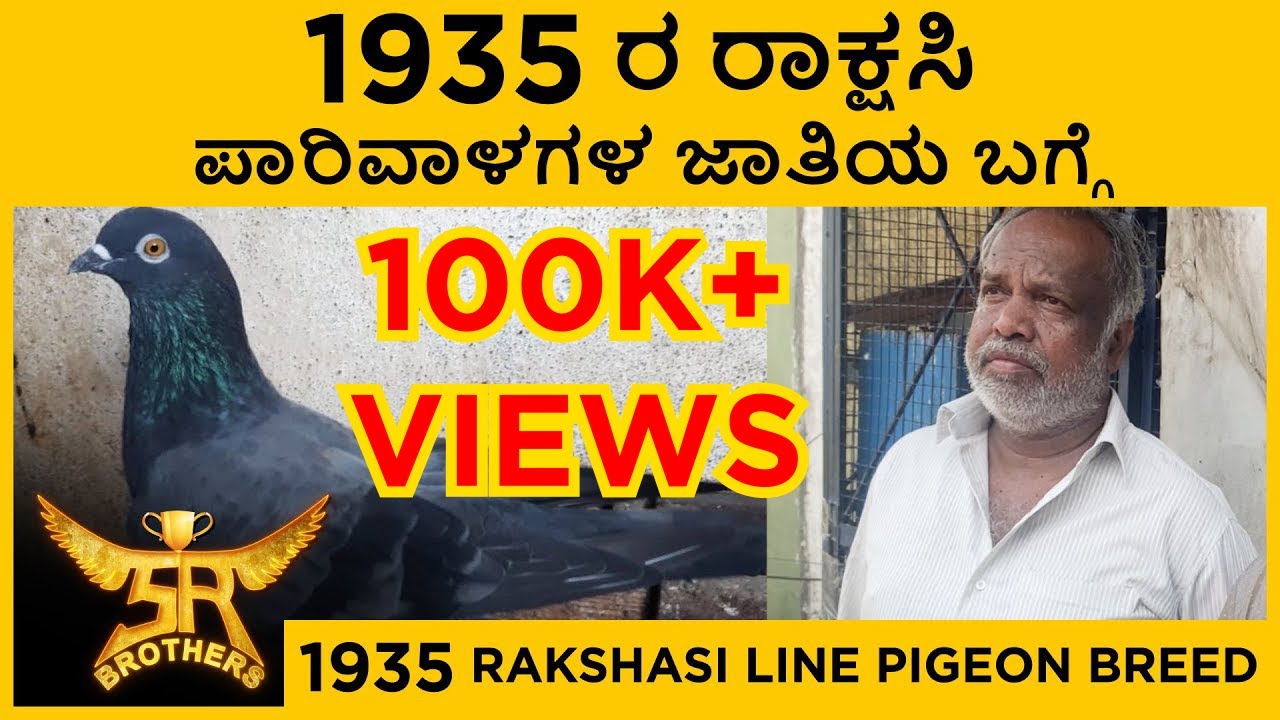 1935 ರ ರಾಕ್ಷಸಿ ಪಾರಿವಾಳಗಳ ಜಾತಿಯ ಬಗ್ಗೆ | 1935 rakshasi line pigeon breed