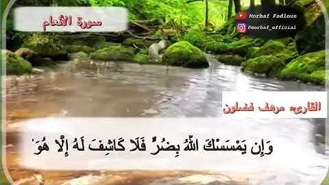 تلاوة ما تيسر من سورة الأنعام مقام الرست محاكاة الشيخ سعد الغامدي نسأل الله القبول 🌹🌹🌹🌹🌹🌹